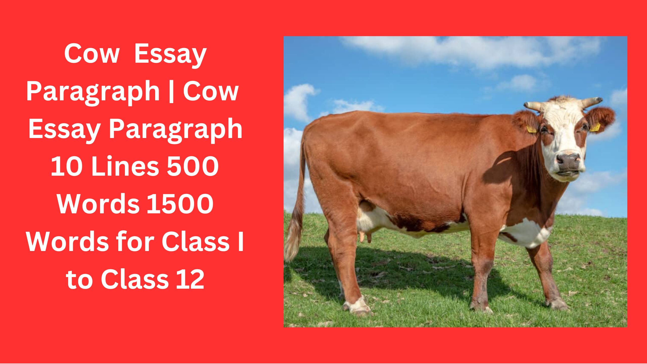 Read more about the article Cow Essay Paragraph | Cow Essay Paragraph 10 Lines 500 Words 1500 Words