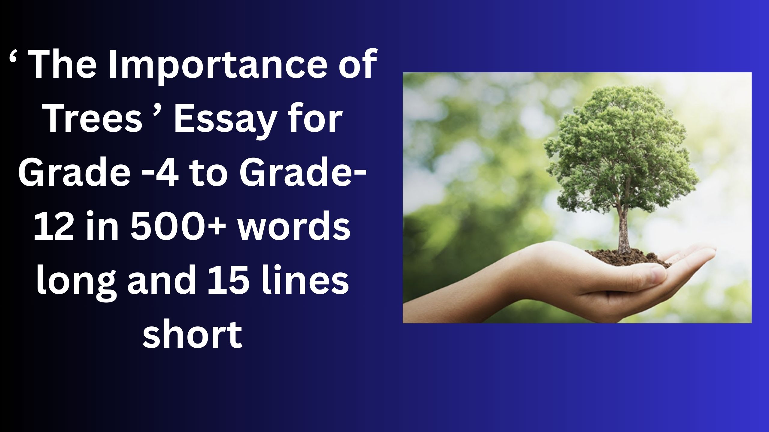 You are currently viewing “The Importance of Trees” Essay/ paragraph for Grade 6 7 8 9 10 12 in 500 words, 15 lines | “The Importance of Trees” Essay/ paragraph for Class 4 5 6 7 8 9 10 in 500 words, 15 lines