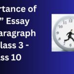 Essay on Importance of Time