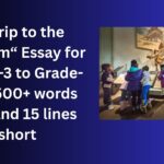A Trip to the Museum –Essay