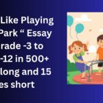 Why I Like Playing in the Park essay