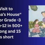 A Visit to Grandma’s House essay