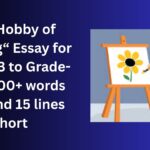 My Hobby of Drawing essay