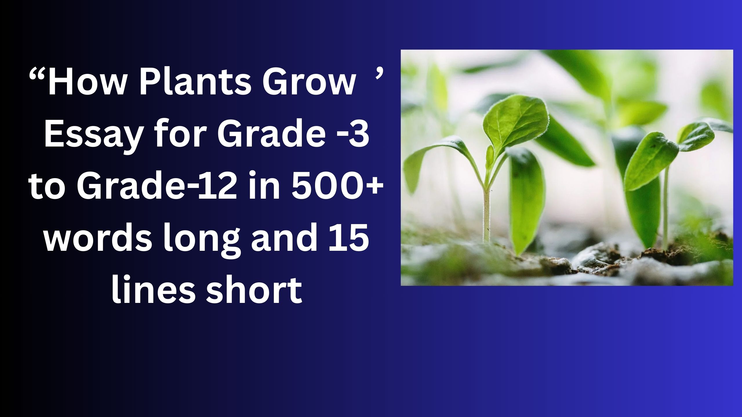 Read more about the article How Plants Grow – Essay for Grade 4 Students in Simple English | How Plants Grow – Essay for class 4 Students in Simple English