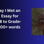 The Day I Met an Alien essay