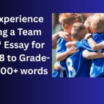 My Experience Playing a Team Sport essay
