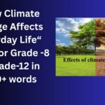 How Climate Change Affects Everyday Life essay