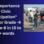 The Importance of Civic Participation essay