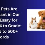 Why Pets Are Important in Our Life essay