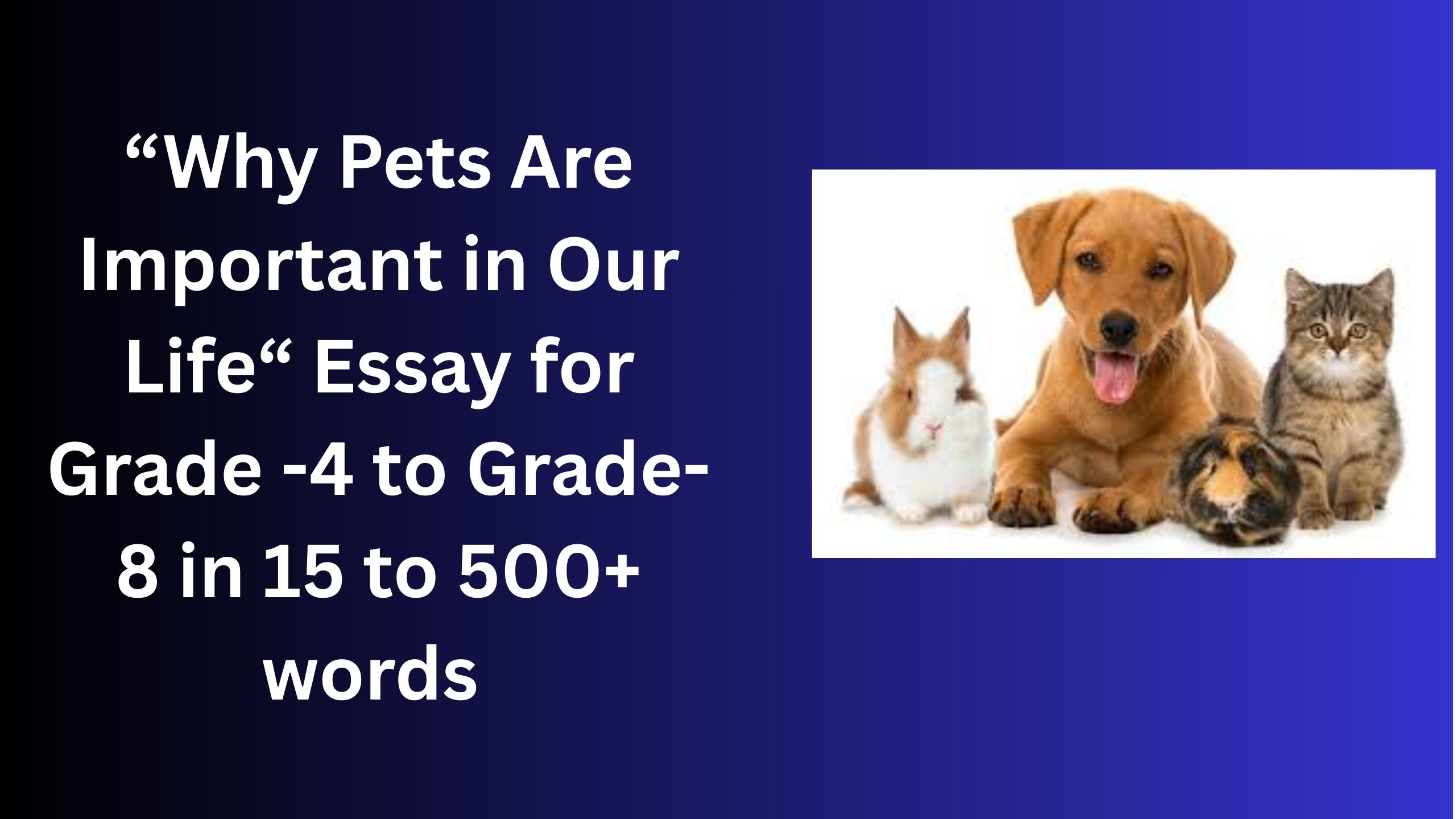 Read more about the article Why Pets Are Important in Our Life – Essay for Students in Simple English | Why Pets Are Important in Our Life – Essay for Students in Simple English