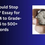 If I Could Stop Time essay