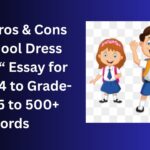 The Pros & Cons of School Dress Codes essay