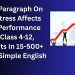 How Stress Affects Daily Performance essay