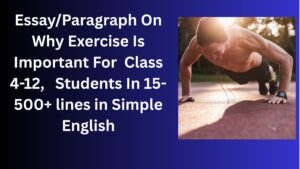 Read more about the article Essay/Paragraph On Why Exercise Is Important For Class 4-12 Students In Simple English